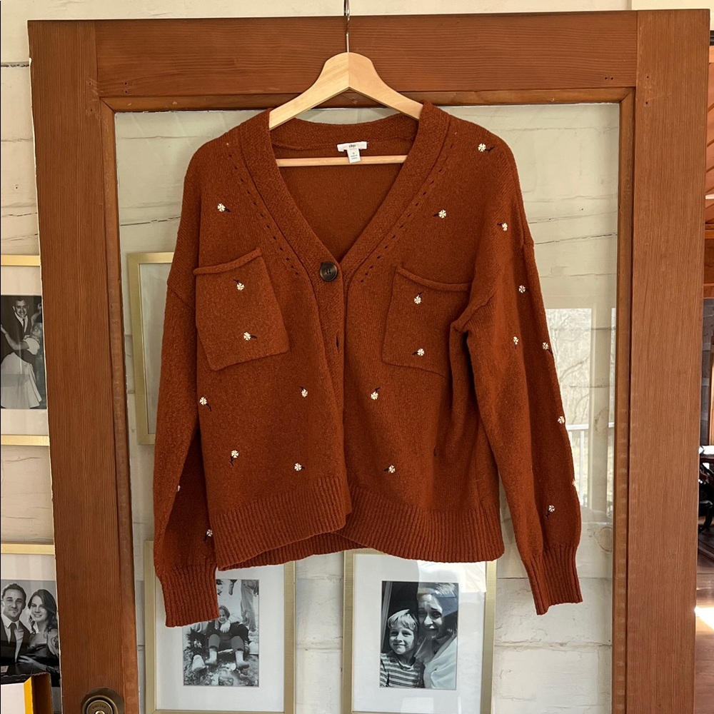 dip Women's Rust Cardigan Sweater